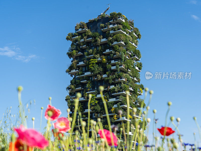 米兰,意大利。Bosco Verticale，在现代和生态摩天大楼与许多树在每个阳台。公园的前景与新鲜和彩色的鲜花